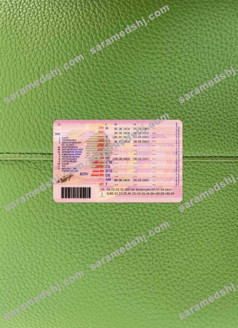Netherlands driving license photolook BACK